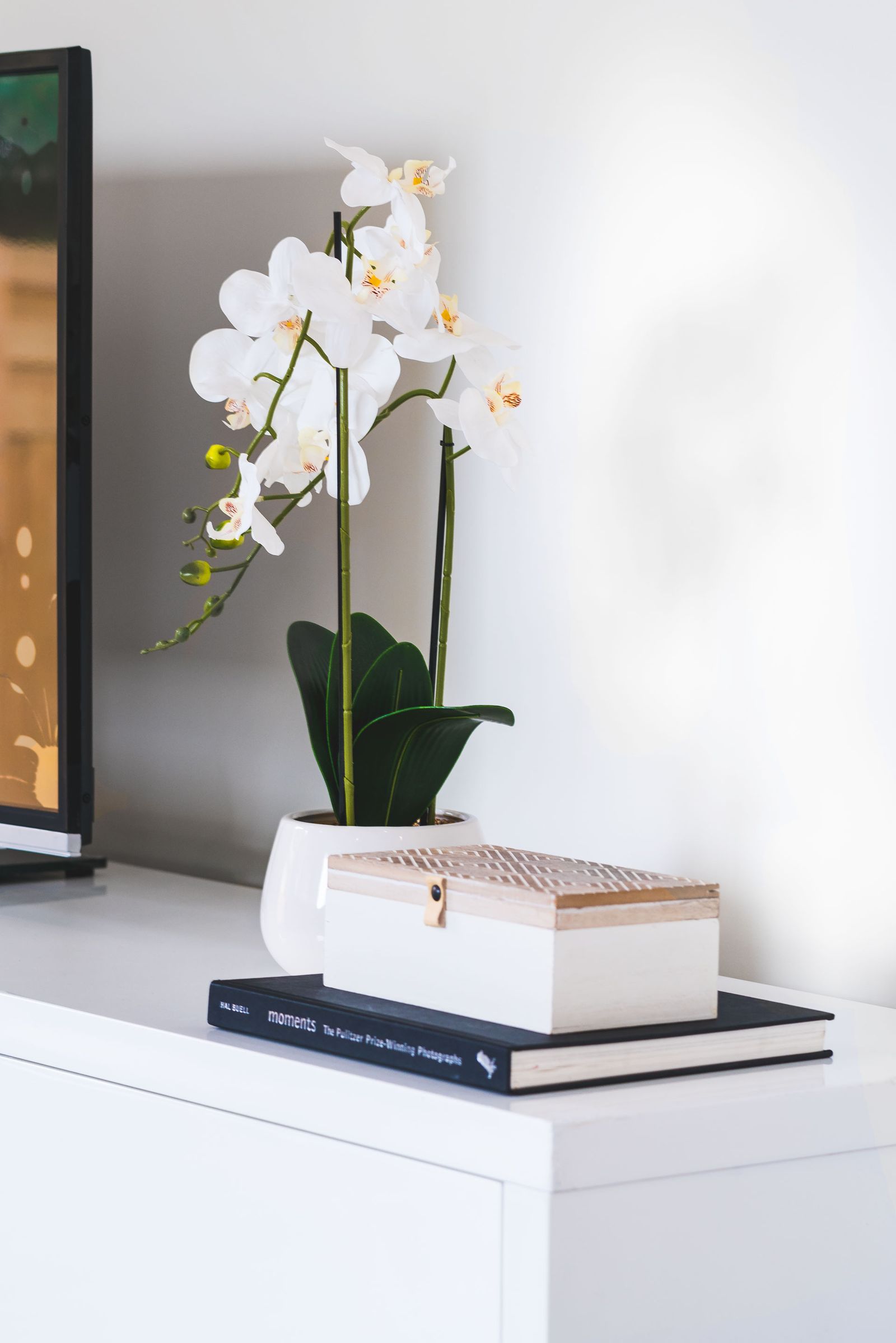 Styling detail styled by Piller Property Styling in Sandringham, Melbourne